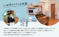 まち歩き付き！小田原お試し移住2泊3日　&nbsp;新築2LDK&nbsp;Tipy&nbsp;records&nbsp;inn&nbsp;nook&nbsp;1〜4名&nbsp;移住相談