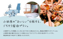 小田原の幸を食べ尽くす1泊2日　&nbsp;4名&nbsp;古民家ゲストハウス&nbsp;&nbsp;Tipy&nbsp;records&nbsp;inn&nbsp;house