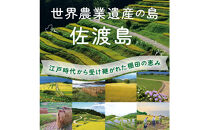 佐渡島産コシヒカリ&nbsp;お達者棚田米&nbsp;白米2Kg【令和7年産】