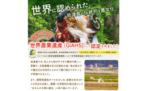 佐渡島産コシヒカリ&nbsp;岩首昇竜棚田米&nbsp;白米2Kg【令和7年産】