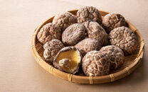 【訳あり】国東産不揃いしいたけ約500g（どんこ）_2634R-2