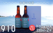 【全2回発送】日本海水　海の恵みセット（【1回目】はクラフト発泡酒「９１０」330&nbsp;ml&nbsp;×&nbsp;2本&nbsp;【2回目】はトッピングソルト70g&nbsp;×&nbsp;12個　をお届け）