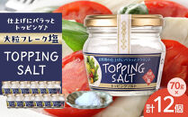 【全2回発送】日本海水　海の恵みセット（【1回目】はクラフト発泡酒「９１０」330&nbsp;ml&nbsp;×&nbsp;2本&nbsp;【2回目】はトッピングソルト70g&nbsp;×&nbsp;12個　をお届け）