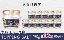 【全2回発送】日本海水　海の恵みセット（【1回目】はクラフト発泡酒「９１０」330&nbsp;ml&nbsp;×&nbsp;2本&nbsp;【2回目】はトッピングソルト70g&nbsp;×&nbsp;12個　をお届け）