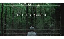 KODACHI（コダチ）_05569