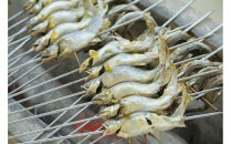 数量限定☆五感で金沢体験「白糸川床体験」×「金沢旅行」大人1名分&nbsp;【JTB金沢支店】&nbsp;｜&nbsp;金沢市&nbsp;観光&nbsp;名所&nbsp;兼六園&nbsp;ひがし茶屋街&nbsp;伝統文化&nbsp;温泉&nbsp;宿泊&nbsp;人気&nbsp;おすすめ&nbsp;グルメ&nbsp;海鮮&nbsp;北陸旅行&nbsp;美術館&nbsp;歴史散策&nbsp;石川&nbsp;金沢&nbsp;加賀百万石&nbsp;北陸復興&nbsp;北陸支援&nbsp;カニ旅行&nbsp;宿泊券