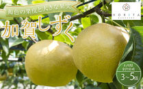 【2026年8月下旬以降発送】【先行予約】加賀しずく梨&nbsp;3～5個&nbsp;加賀しずく&nbsp;フルーツ&nbsp;果物&nbsp;くだもの&nbsp;食品&nbsp;石川&nbsp;金沢&nbsp;北陸&nbsp;復興支援&nbsp;復興応援