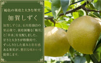 【2026年8月下旬以降発送】【先行予約】加賀しずく梨&nbsp;3～5個&nbsp;加賀しずく&nbsp;フルーツ&nbsp;果物&nbsp;くだもの&nbsp;食品&nbsp;石川&nbsp;金沢&nbsp;北陸&nbsp;復興支援&nbsp;復興応援