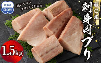 羅臼産刺身用ブリ　1.5kg