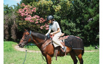 馬とのふれあい・乗馬体験コース（1名）