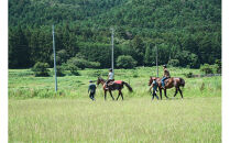 馬とのふれあい・乗馬体験コース（2名）