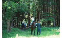 ホーストレッキング＆馬のお世話コース（１名）