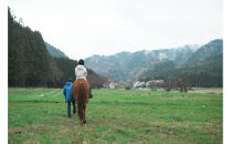 ホーストレッキング＆馬のお世話コース（１名）