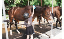 ホーストレッキング＆馬のお世話コース（１名）