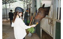 ホーストレッキング＆馬のお世話コース（１名）
