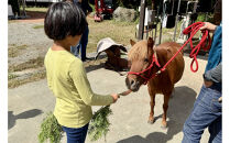 ホーストレッキング＆馬のお世話コース（2名）