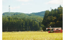 【令和7年産先行予約】「にじのきらめき」白米・5kg