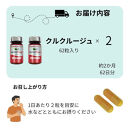 高吸収型クルクミン　クルクルージュ62粒入り2本