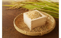 【令和7年産先行予約】「にじのきらめき」玄米・5kg