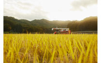 【令和7年産先行予約】「にじのきらめき」玄米・5kg