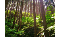 ヒノキルームフレグランスミスト