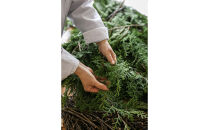 ヒノキルームフレグランスミスト