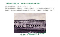 甲子園カレー＜甘口・中辛・辛口＞×2箱4食入　計6箱セット12食入