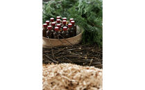 Forest&nbsp;ルームフレグランスミスト