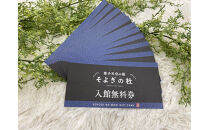 【ふるさと納税】愛子天空の湯 そよぎの杜 入館無料券11枚　温泉 露天風呂 サウナ 日帰り 天然温泉 観光 旅行 旅 回数券 入浴券 仙台市