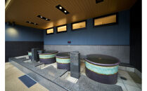 【ふるさと納税】愛子天空の湯 そよぎの杜 入館・岩盤浴無料券11枚　温泉 露天風呂 サウナ 日帰り 天然温泉 観光 旅行 旅 回数券 入浴券 仙台市　