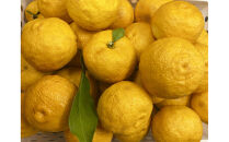 りんごのディフューザーと香りのギフト