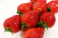 【2026年1月上旬～3月下旬発送予定】栃木名物栃木市の「とちあいか」280g×2パック【フルーツ 果物 くだもの 食品 人気 おすすめ 】