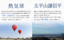 【2026年1月上旬～3月下旬発送予定】栃木名物栃木市の「とちあいか」280g×2パック【フルーツ&nbsp;果物&nbsp;くだもの&nbsp;食品&nbsp;人気&nbsp;おすすめ&nbsp;】