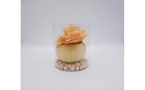 森のたより　ひのきの花のディフューザー