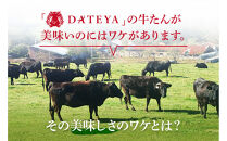 【本場仙台専門店の味】牛タン&nbsp;切り落とし&nbsp;250g&nbsp;&nbsp;|&nbsp;仙台名物&nbsp;牛たん&nbsp;塩味&nbsp;薄切り&nbsp;牛肉&nbsp;牛たん&nbsp;熟成&nbsp;牛タン&nbsp;焼肉&nbsp;バーベキュー&nbsp;BBQ&nbsp;小分け&nbsp;お取り寄せ&nbsp;冷凍&nbsp;宮城&nbsp;だてや&nbsp;ダテヤ&nbsp;DATEYA