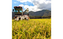 令和7年&nbsp;鳥取県産&nbsp;山崎農園こしひかり玄米10kg