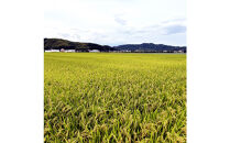 令和7年&nbsp;鳥取県産&nbsp;大上農園きぬむすめ玄米5kg