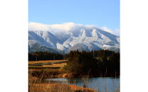 令和7年&nbsp;鳥取県産&nbsp;山崎農園こしひかり無洗米5kg