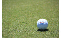 富士レイクサイドカントリー倶楽部 2026年シーズン利用券15,000円