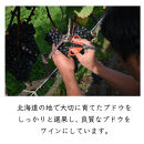 MARO&nbsp;Wines&nbsp;ワイン&nbsp;赤と白&nbsp;2本セット