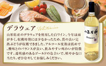 白ワイン 八百万神  デラウェア 2024 八百万神（Yaoyorozu）