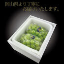 [HS]【定期便&nbsp;全2回】ぶどう&nbsp;2026年&nbsp;先行予約&nbsp;7月・8月発送&nbsp;温室シャイン&nbsp;マスカット&nbsp;晴王&nbsp;2房&nbsp;（合計約1.2kg）