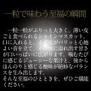 [HS]【定期便&nbsp;全2回】ぶどう&nbsp;2026年&nbsp;先行予約&nbsp;7月・8月発送&nbsp;温室シャイン&nbsp;マスカット&nbsp;晴王&nbsp;2房&nbsp;（合計約1.4kg）