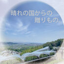 [HS]【定期便&nbsp;全3回】ぶどう&nbsp;2026年&nbsp;先行予約&nbsp;7月・8月・9月発送&nbsp;温室シャイン&nbsp;マスカット&nbsp;晴王&nbsp;1房&nbsp;約600g