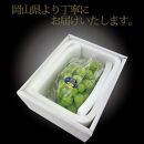 [HS]【定期便&nbsp;全3回】ぶどう&nbsp;2026年&nbsp;先行予約&nbsp;7月・8月・9月発送&nbsp;温室シャイン&nbsp;マスカット&nbsp;晴王&nbsp;1房&nbsp;約600g