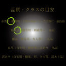 [HS]【定期便&nbsp;全3回】ぶどう&nbsp;2026年&nbsp;先行予約&nbsp;7月・8月・9月発送&nbsp;温室シャイン&nbsp;マスカット&nbsp;晴王&nbsp;2房&nbsp;（合計約1.2kg）