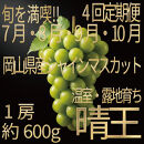 [HS]【定期便&nbsp;全4回】ぶどう&nbsp;2026年&nbsp;先行予約&nbsp;7月・8月・9月・10月発送&nbsp;温室シャイン&nbsp;マスカット&nbsp;晴王&nbsp;1房&nbsp;約600g