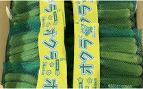 オクラ　約1.4kg