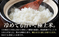 令和7年産&nbsp;大田原市&nbsp;藤田farmのコシヒカリ&nbsp;10kg&nbsp;｜栃木県産&nbsp;米&nbsp;お米&nbsp;&nbsp;コメ&nbsp;こしひかり&nbsp;コシヒカリ&nbsp;栃木県&nbsp;【選べる容量】5kg&nbsp;10kg&nbsp;&nbsp;数量限定
