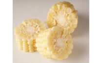 ＜2026年6月中旬以降発送・先行予約＞とうもろこし&nbsp;ホワイトコーン&nbsp;約2.5kg×2